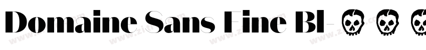 Domaine Sans Fine Bl字体转换